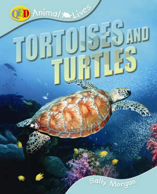 Book cover for Tortoises and Turtles