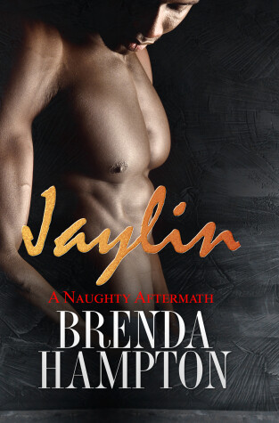Book cover for Jaylin: A Naughty Aftermath