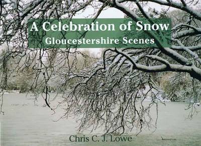 Book cover for A Celebration of Snow