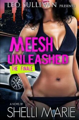 Cover of Meesh Unleashed