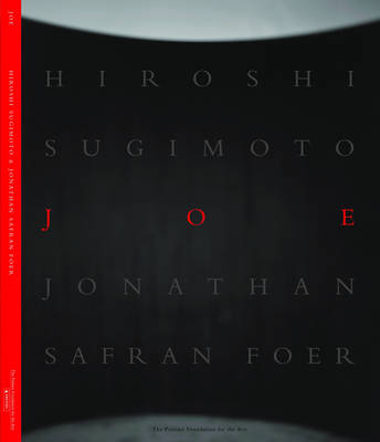 Book cover for Joe