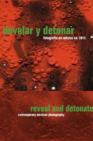 Cover of Reveal and Detonate