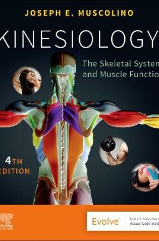 Cover of Kinesiology - E-Book