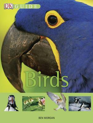 Book cover for Birds