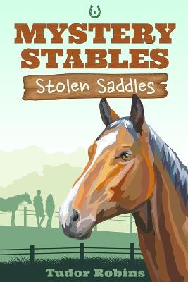 Book cover for Stolen Saddles