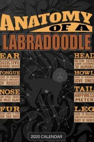 Cover of Anatomy Of A Labradoodle