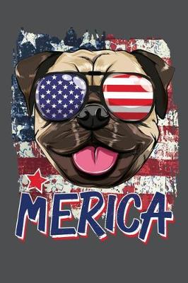 Book cover for Merica