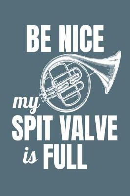 Book cover for Be Nice My Spit Valve is Full