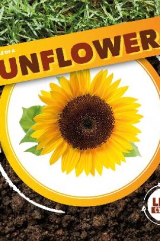 Cover of Life Cycle of a Sunflower