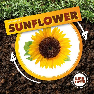 Book cover for Life Cycle of a Sunflower