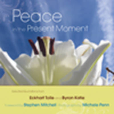Book cover for Peace in the Present Moment