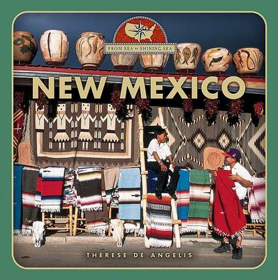 Book cover for New Mexico