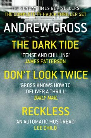Cover of Andrew Gross 3-Book Thriller Collection 1