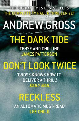 Book cover for Andrew Gross 3-Book Thriller Collection 1