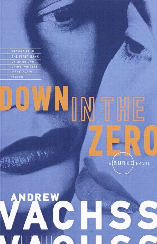 Book cover for Down in the Zero