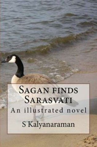 Cover of Sagan Finds Sarasvati