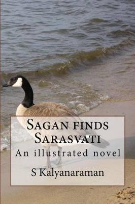 Book cover for Sagan Finds Sarasvati