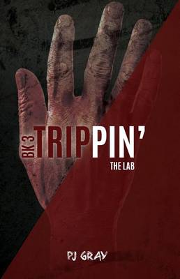 Cover of The Lab Book 3