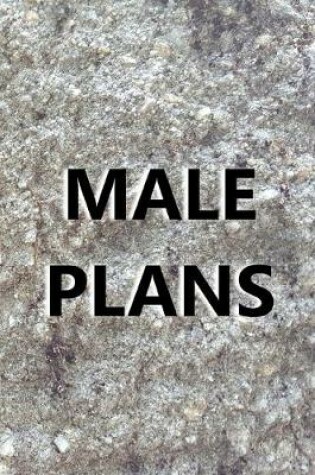 Cover of 2020 Daily Planner For Men Male Plans Engraved Carved Stone Style Image 388 Pages