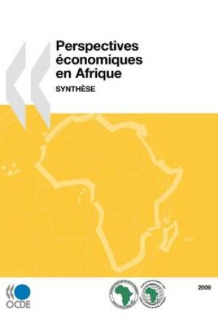 Cover of Perspectives Economiques En Afrique 2009