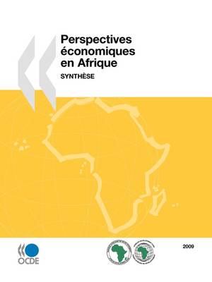 Book cover for Perspectives Economiques En Afrique 2009