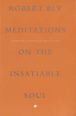 Book cover for Meditations on the Insatiable Soul