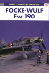 Book cover for Focke-Wulf FW 190