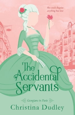 Book cover for The Accidental Servants