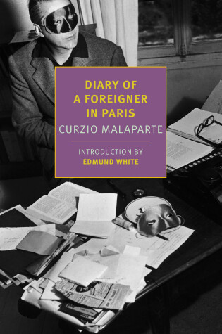 Cover of Diary of a Foreigner in Paris
