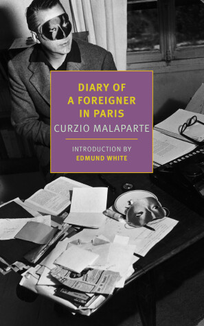 Book cover for Diary of a Foreigner in Paris