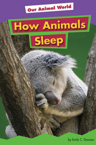 Cover of How Animals Sleep