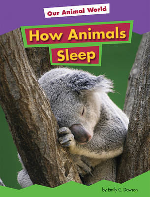 Cover of How Animals Sleep