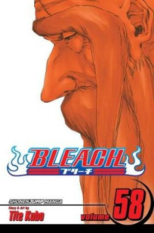 Cover of Bleach, Vol. 58