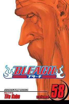 Book cover for Bleach, Vol. 58