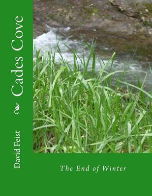 Book cover for Cades Cove
