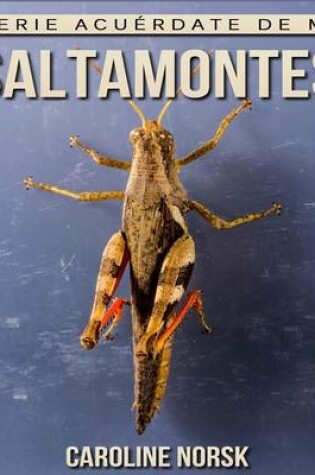 Cover of Saltamontes