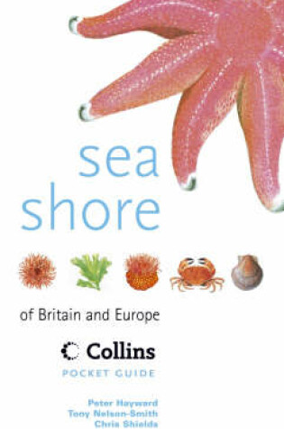 Cover of Sea Shore of Britain and Europe