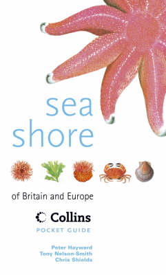Book cover for Sea Shore of Britain and Europe