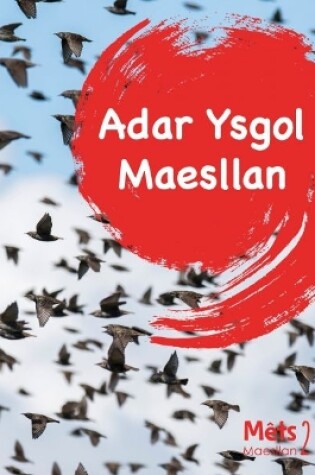 Cover of Mêts Maesllan 2 - Adar Ysgol Maesllan