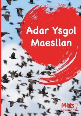 Book cover for Mêts Maesllan 2 - Adar Ysgol Maesllan