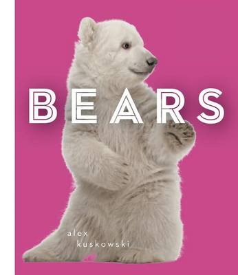 Book cover for Bears