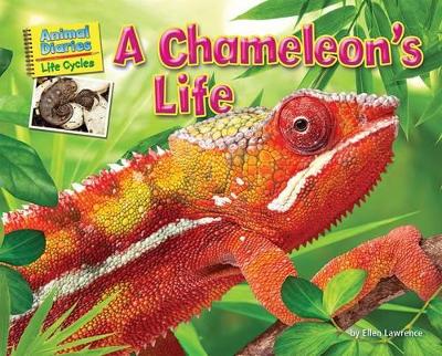 Book cover for A Chameleon's Life
