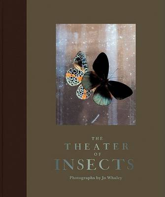 Book cover for The Theater of Insects