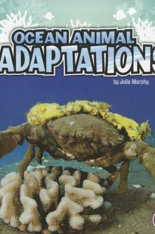 Cover of Ocean Animal Adaptations (Amazing Animal Adaptations)