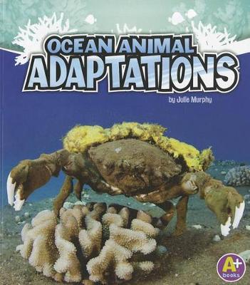 Book cover for Ocean Animal Adaptations (Amazing Animal Adaptations)