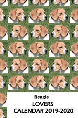 Book cover for Beagle Lovers Calendar 2019-2020