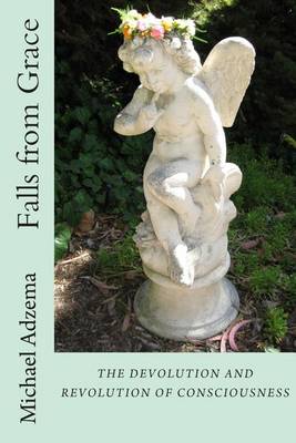 Book cover for Falls from Grace