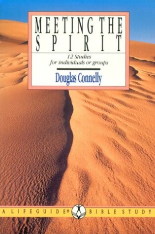 Cover of Meeting the Spirit