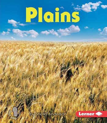 Book cover for Plains
