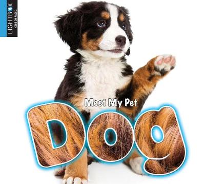 Cover of Dog